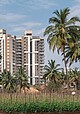 Städtische Landwirtschaft in Bangalore (Indien), wo die Studie durchgeführt wurde: Gemüsefelder neben neu gebauten Hochhäusern. Foto: Arne Wenzel