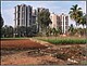 Städtische Landwirtschaft in Bangalore (Indien): Gemüsefelder neben neu gebauten Hochhäusern. Foto: Arne Wenzel
