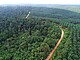 Regenwald (links) und Ölpalmplantage (rechts) auf Sumatra, Indonesien. Foto: Ananggadipa Raswanto